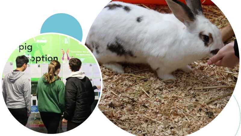 RSPCA Partnership